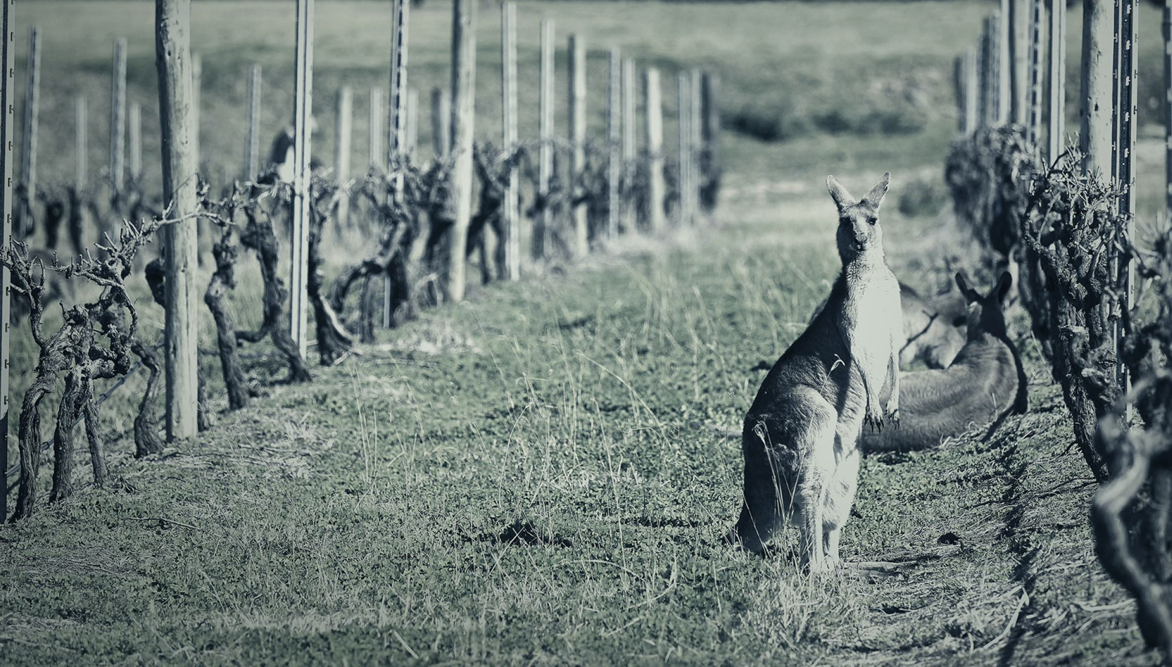 South Australia